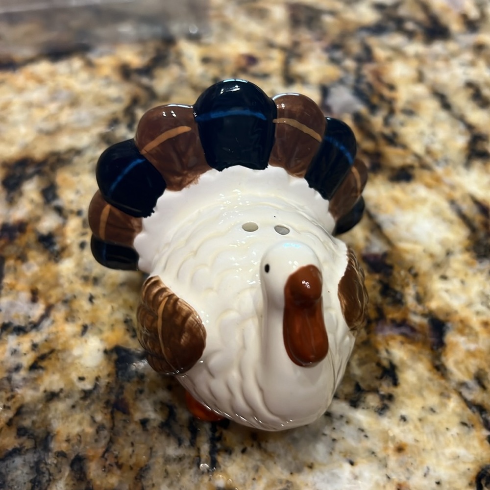 Celebrate it. Fall salt and pepper shakers. - Picture 2 of 4